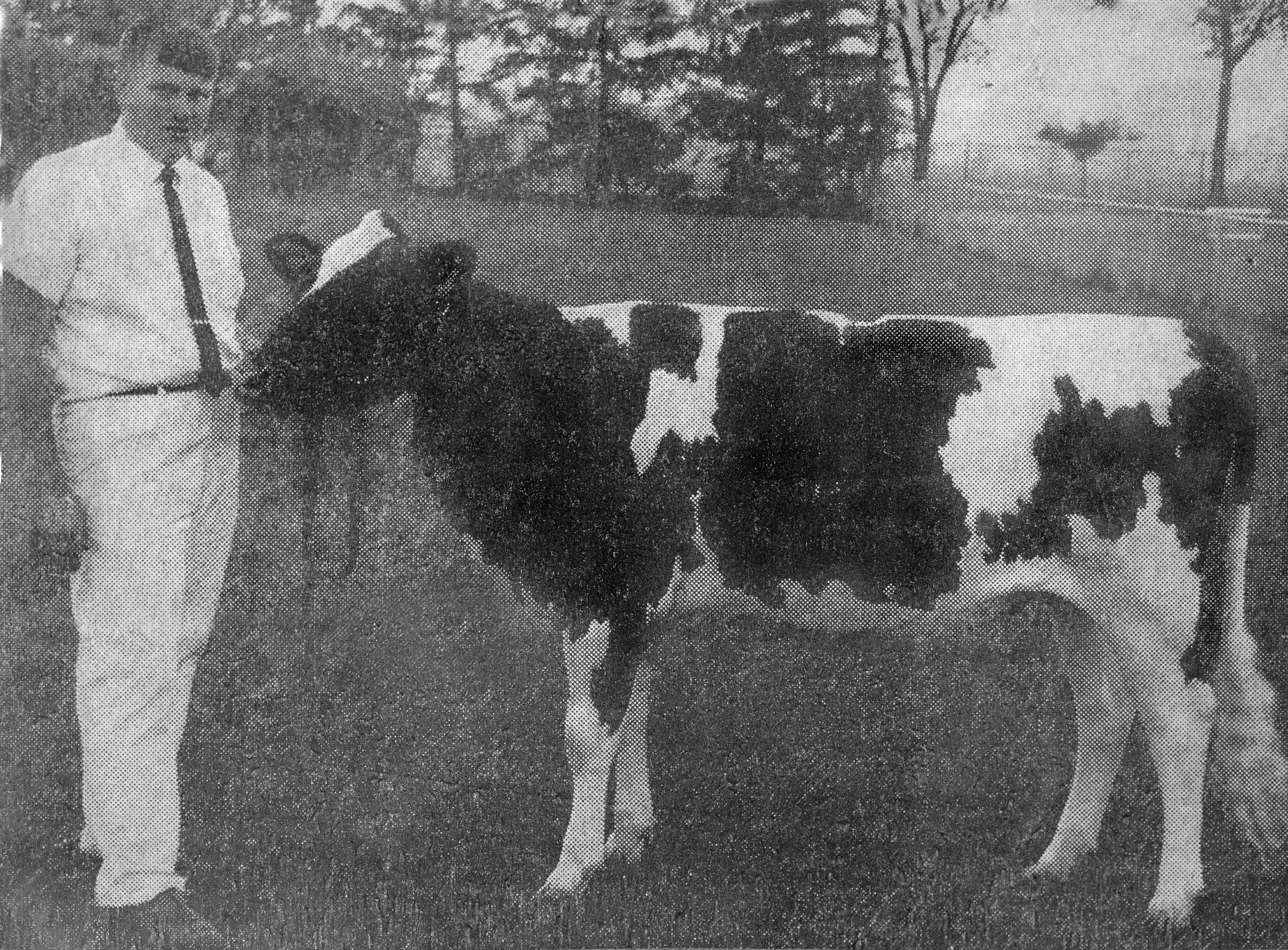 LC and his Showmanship winner